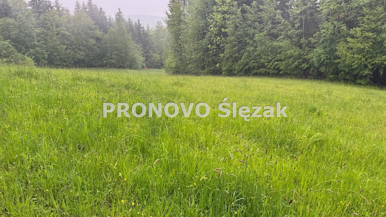 Sprzedam działkę budowlaną w górach. (6)