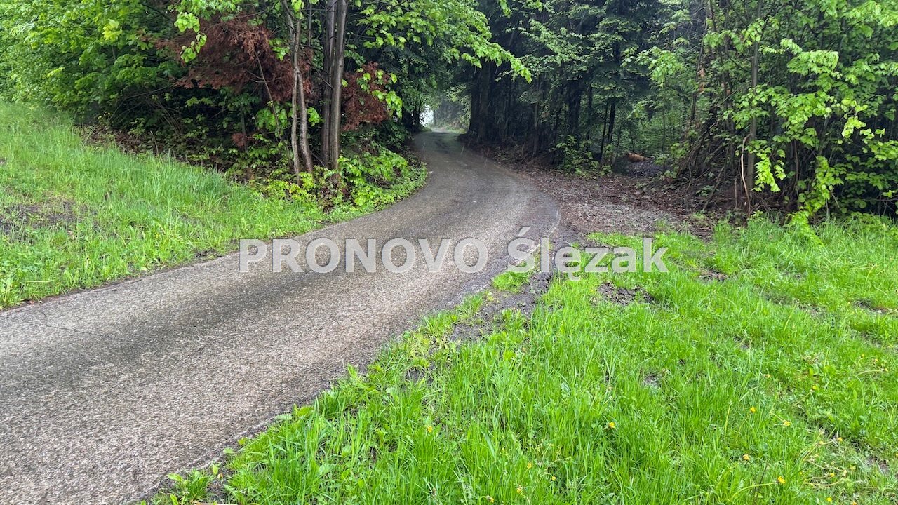 Sprzedam działkę budowlaną w górach. (8)