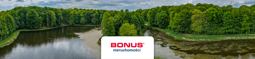 Prywatny kompleks wodny w środku lasu (4)