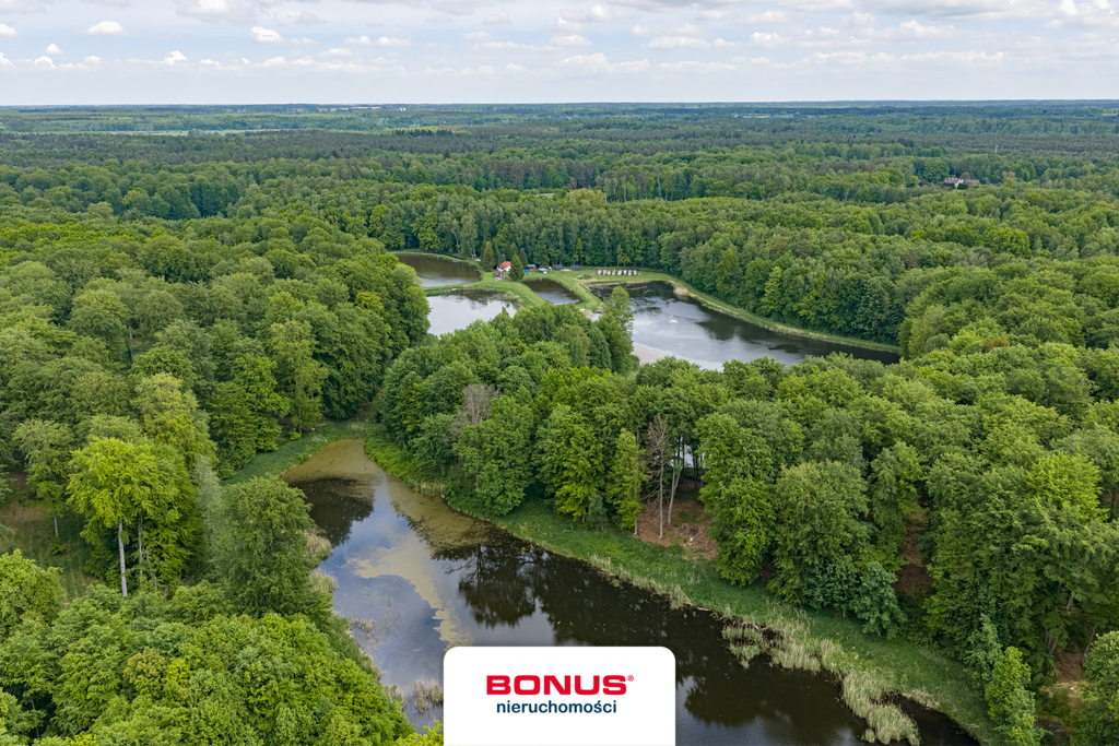 Prywatny kompleks wodny w środku lasu (6)