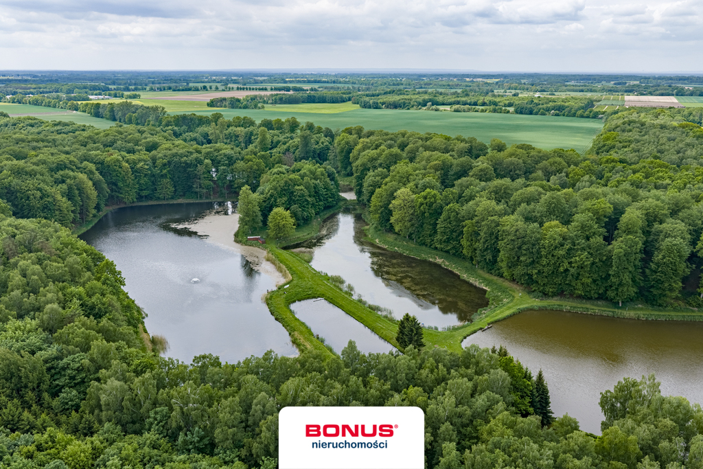 Prywatny kompleks wodny w środku lasu (10)