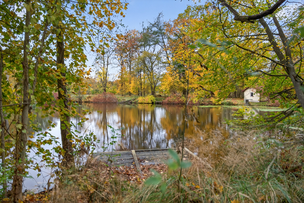 Cisza, natura i klimat XIX-wiecznego dworku (12)