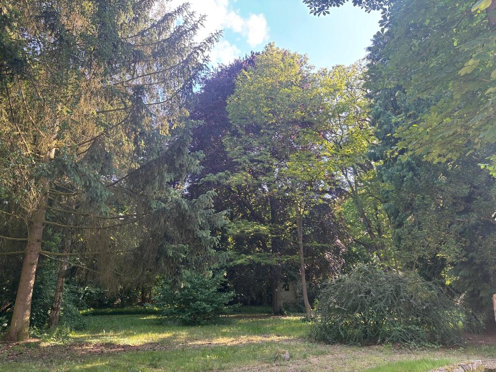 Mieszkanie, 3 pok., 63 m2, Drzenin  (10)