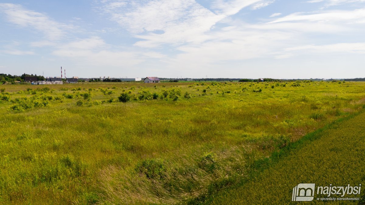 Żarowo - 2 działki rolne  (14)