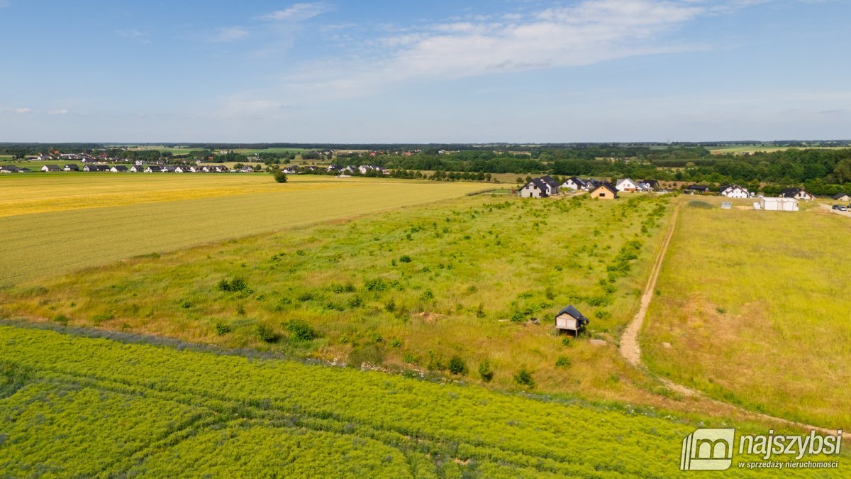 Żarowo - 2 działki rolne  (9)