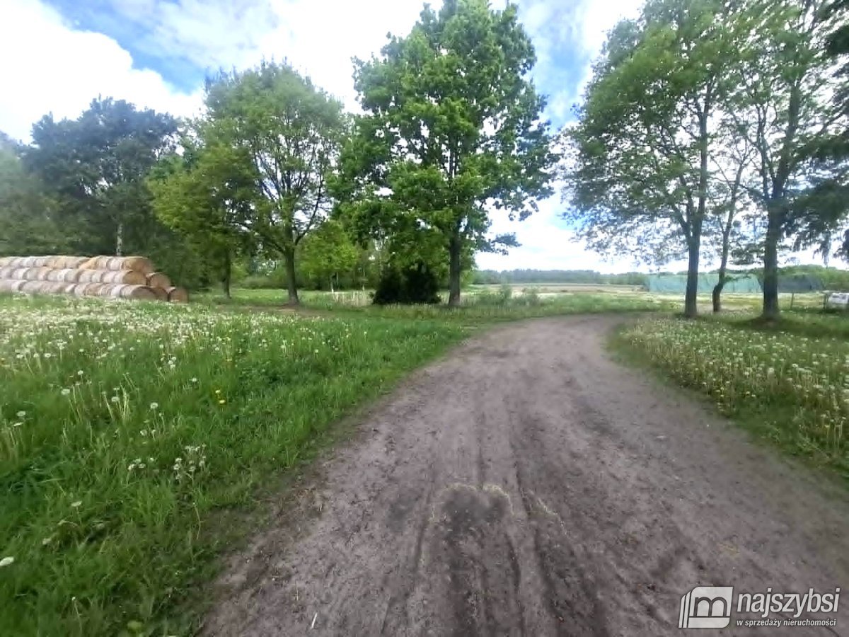 Sowno-gospodarstwo rolne 4,32ha ze stawem i lasem (14)
