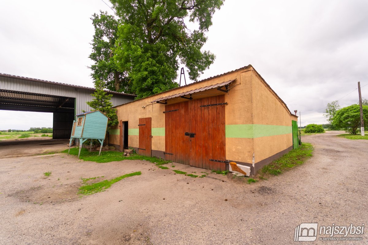 Sowno-gospodarstwo rolne 4,32ha ze stawem i lasem (26)