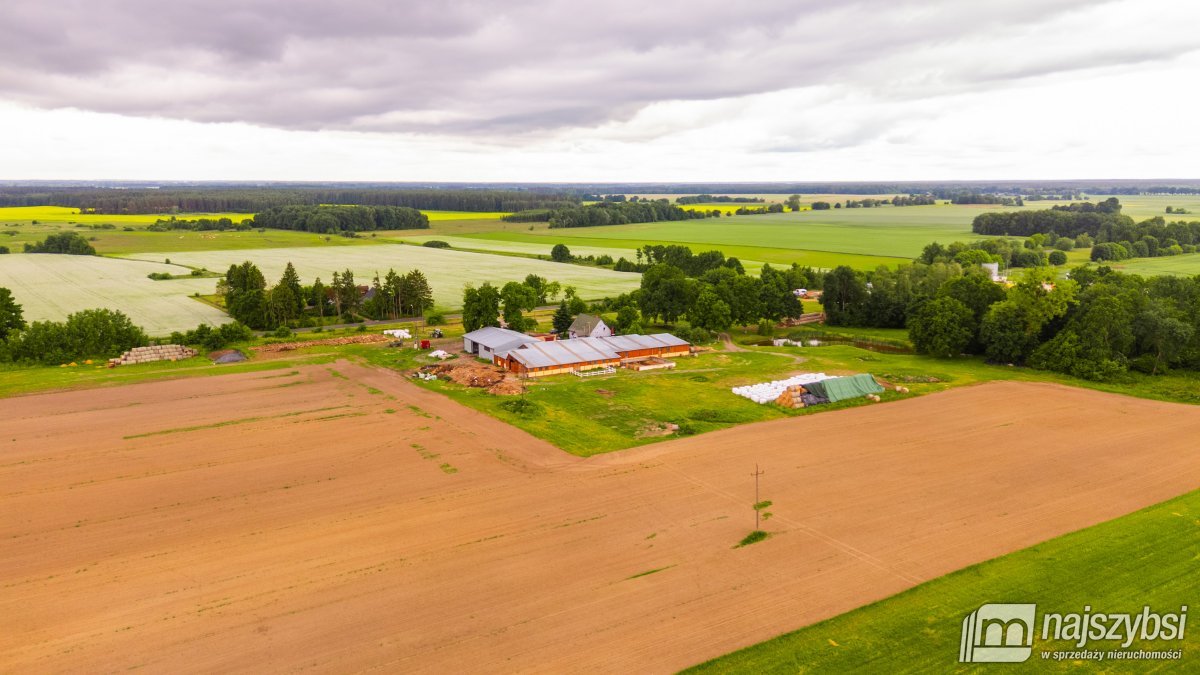 Sowno-gospodarstwo rolne 4,32ha ze stawem i lasem (28)