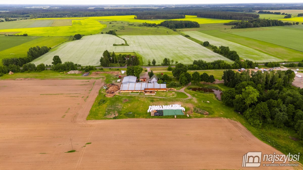 Sowno-gospodarstwo rolne 4,32ha ze stawem i lasem (29)