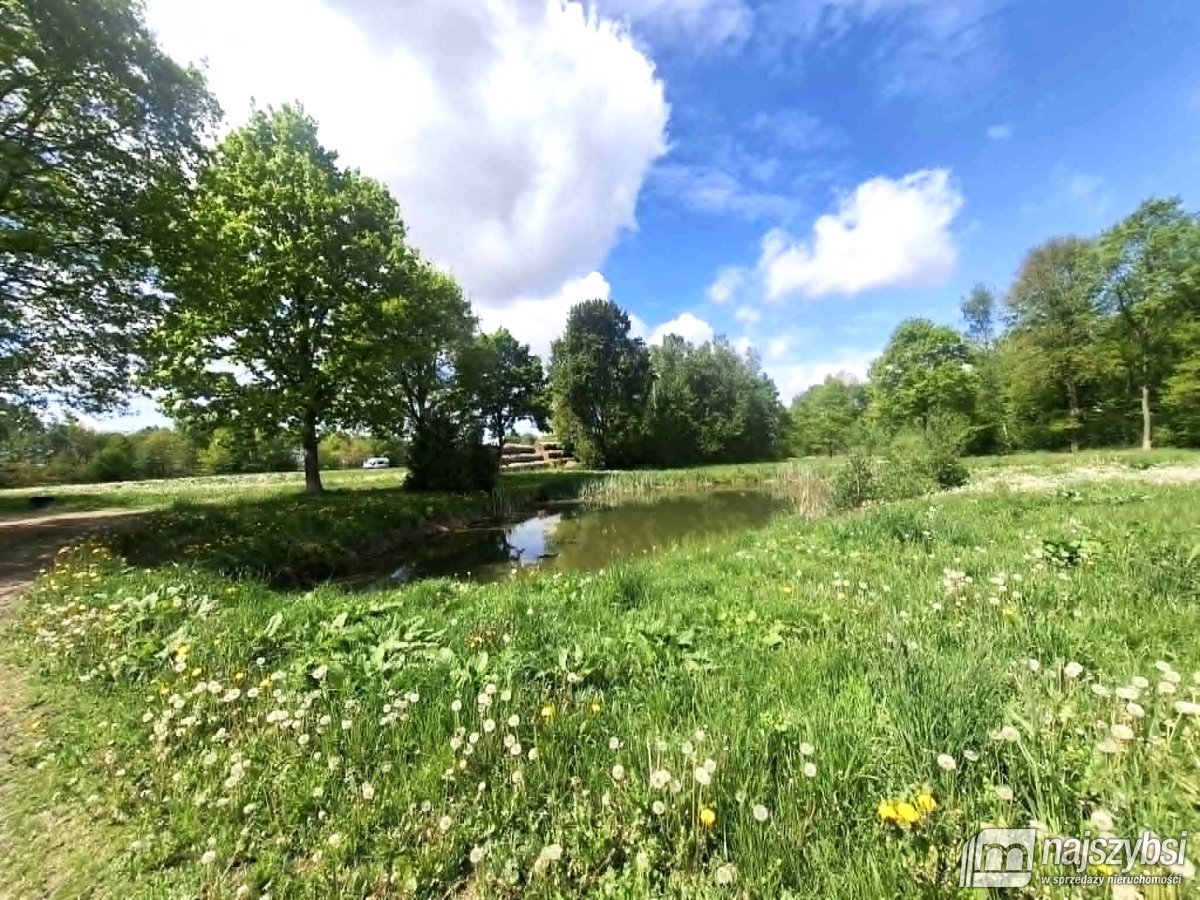 Sowno-gospodarstwo rolne 4,32ha ze stawem i lasem (5)