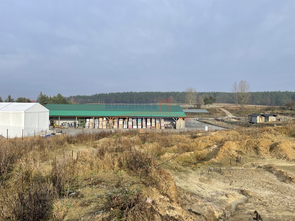 Kompleks 15 działek w Daleszewie wydane WZ (5)
