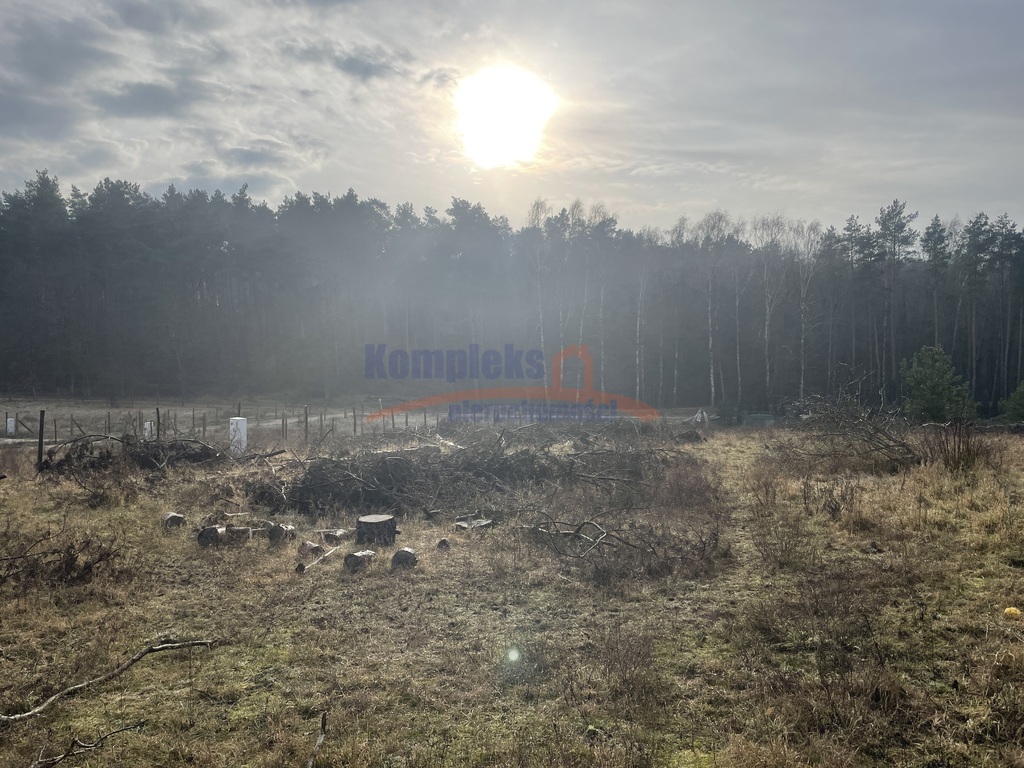 Kompleks 15 działek w Daleszewie wydane WZ (7)
