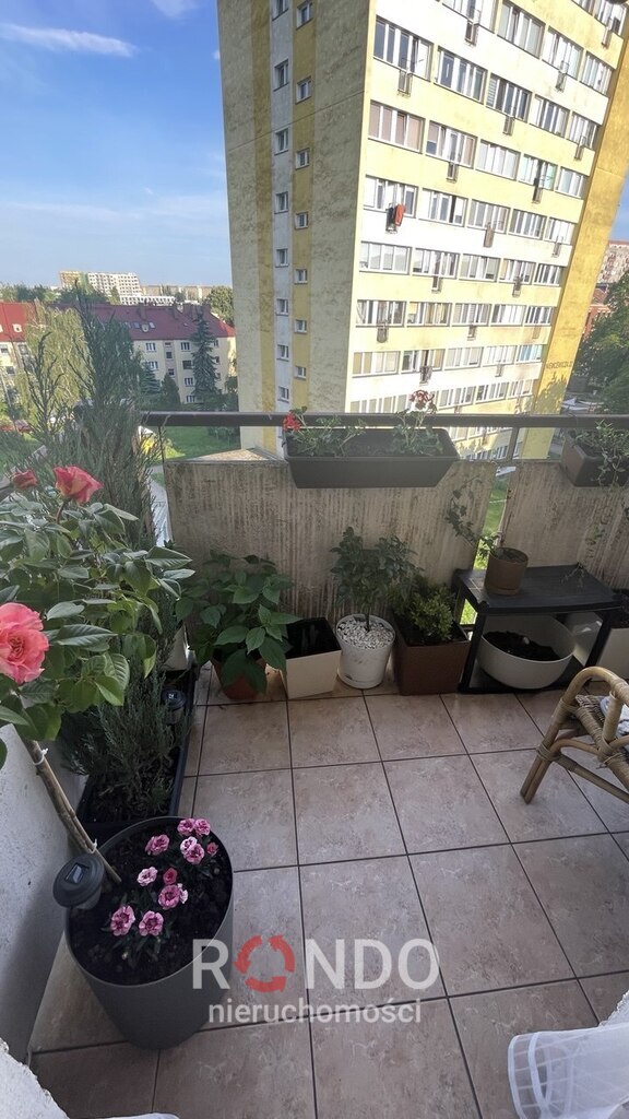 Szczecin, 3 pokoje, 93,5 m2, balkon, po remoncie (6)