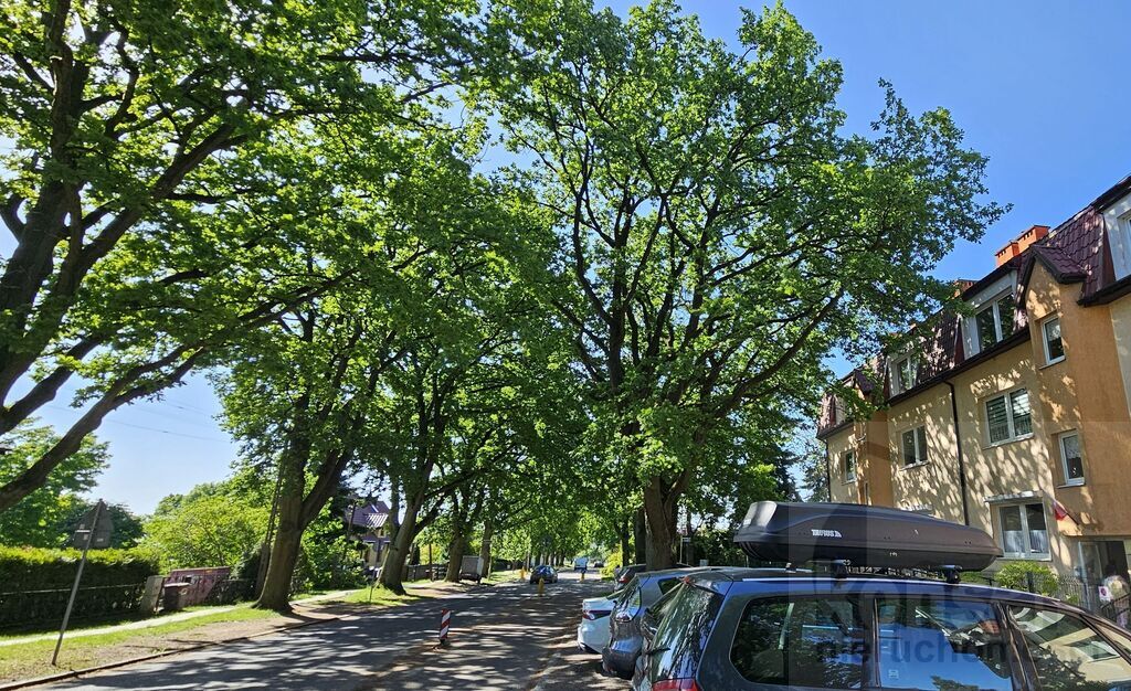 2 pokoje na wynajem, niski parter, Warszewo (11)