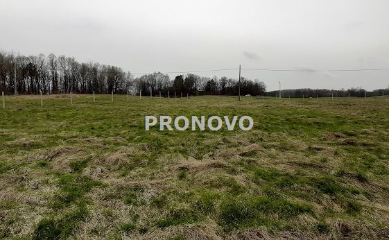 działka budowlana Siecino, Drawsko Po, Złocieniec (4)