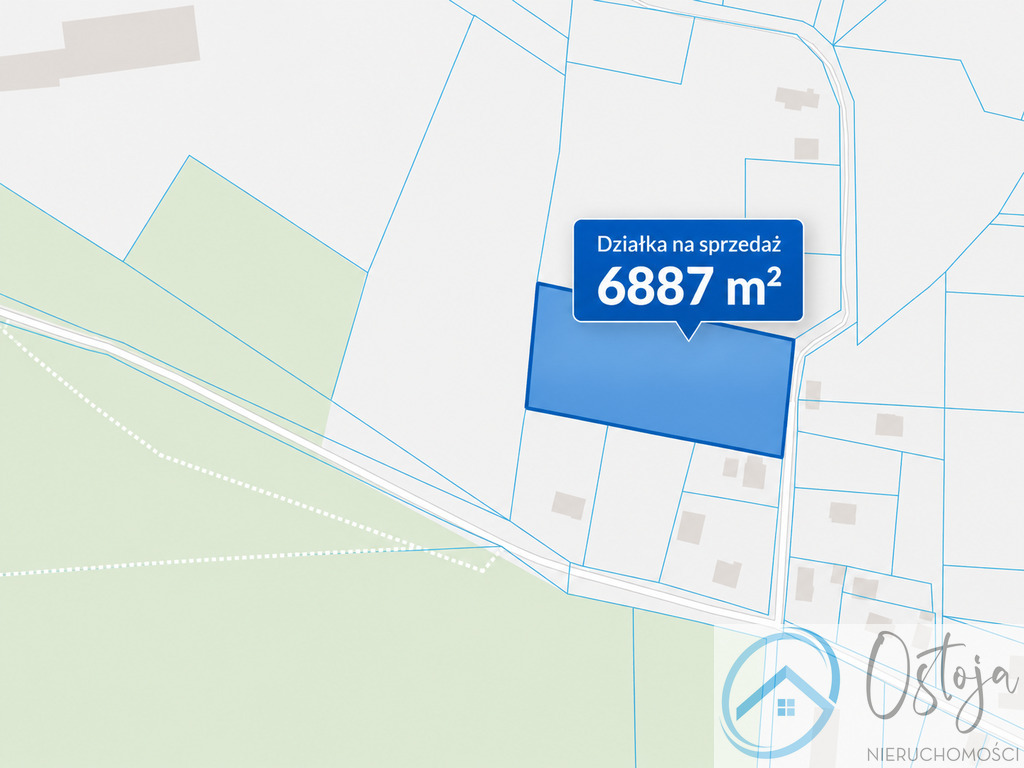 Działka 6887 m2 z WZ na 5 domów | Motaniec (1)