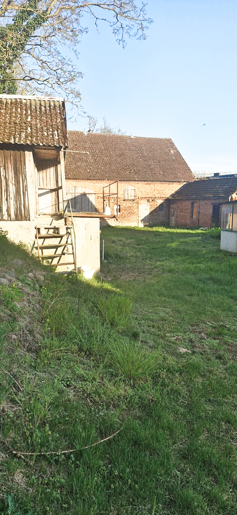 Dom do remontu z dużą działką 3900m2 (5)