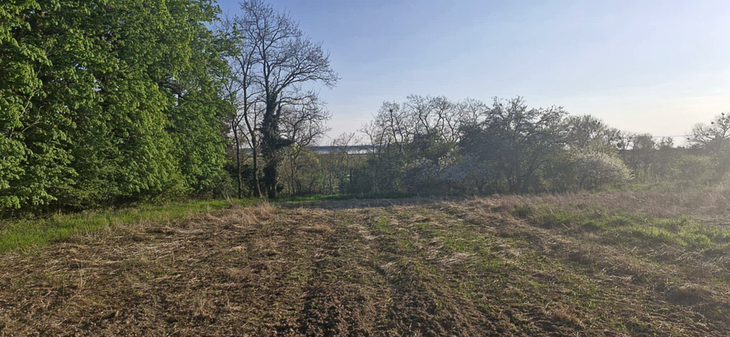 Dom do remontu z dużą działką 3900m2 (7)