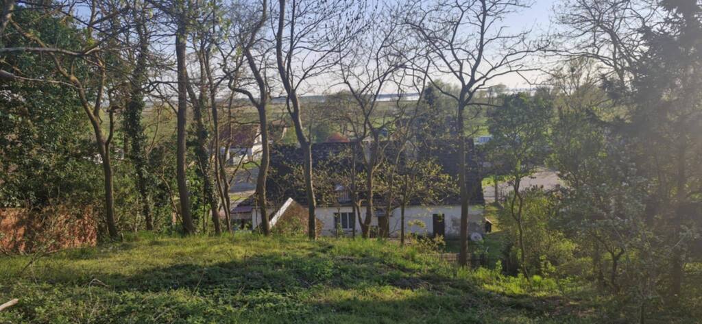 Dom do remontu z dużą działką 3900m2 (6)