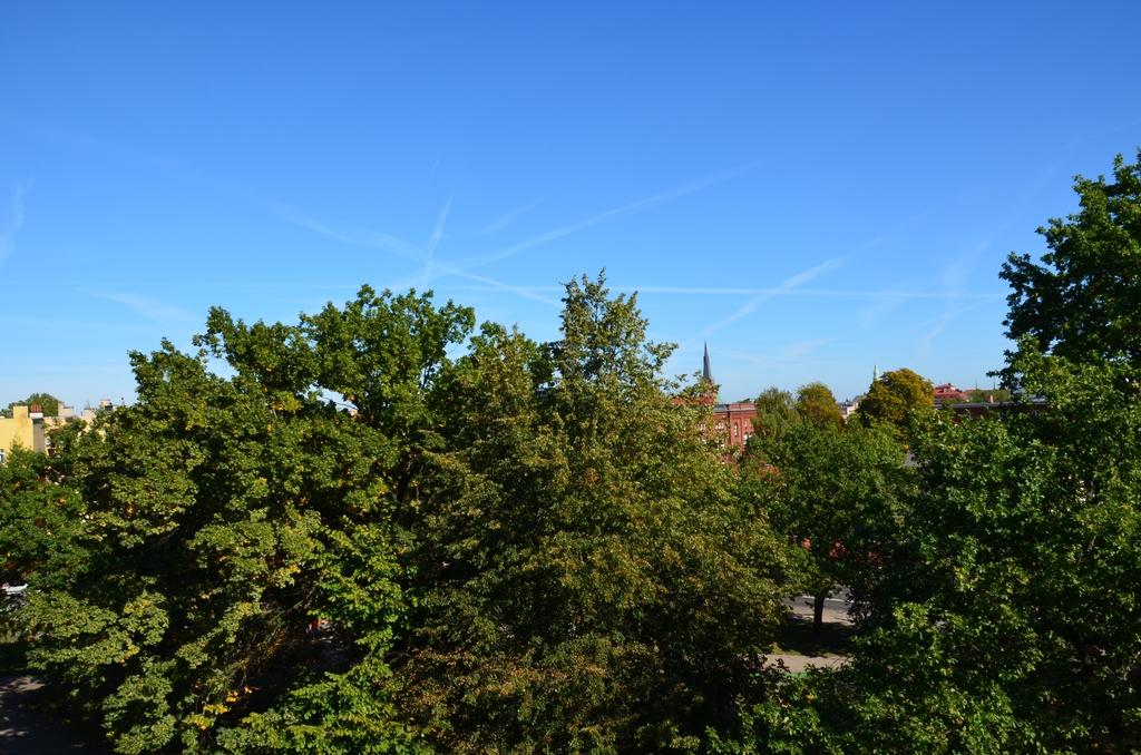 Mieszkanie, 2 pok., 43 m2, Szczecin Śródmieście (15)