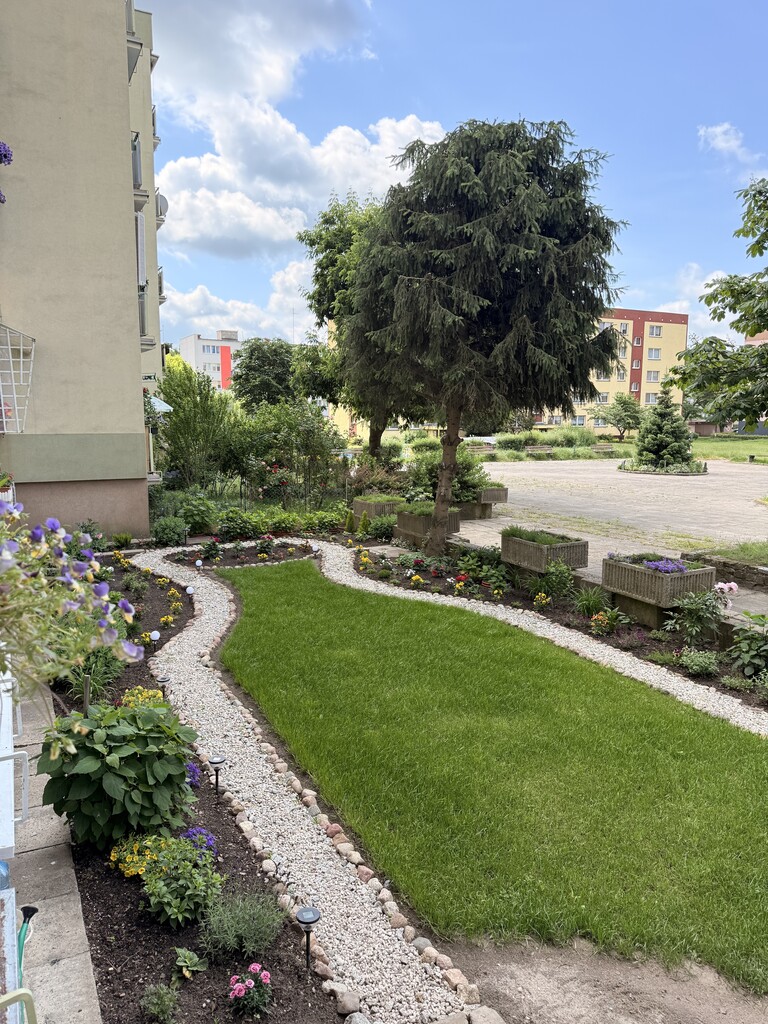 Rozkładowe mieszkanie 3 pok na Chopina! (11)