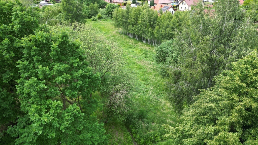 Działka budowlana na sprzedaż Trzebież (8)