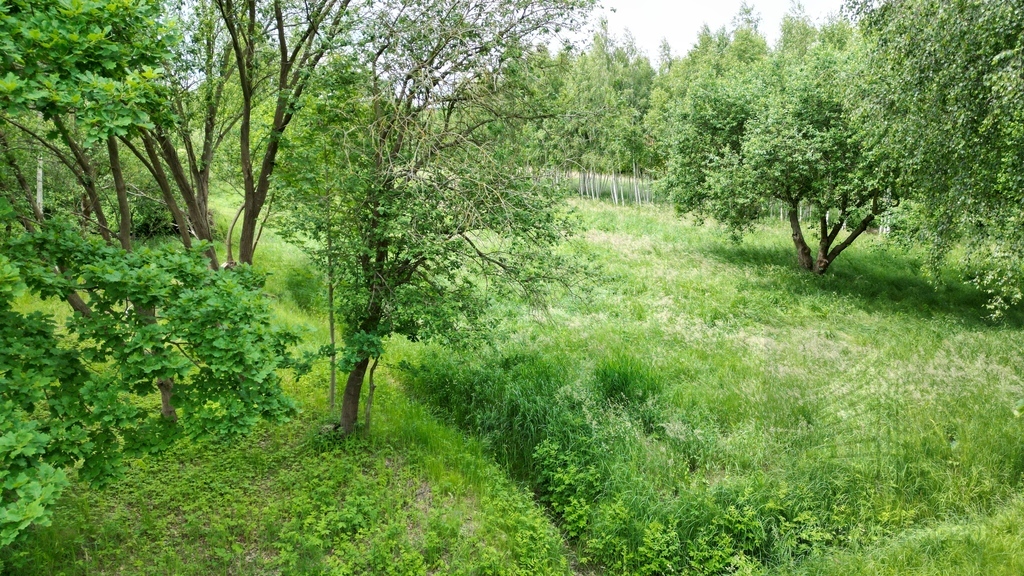 Działka budowlana na sprzedaż Trzebież (9)