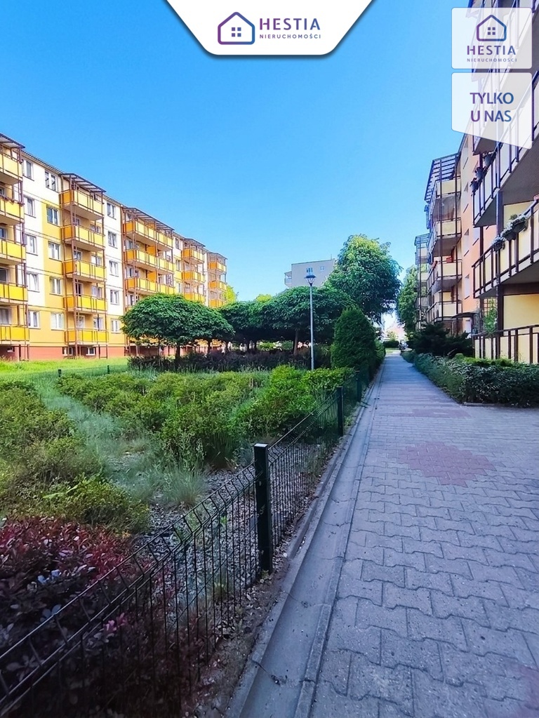 Na wynajem 3 pokoje z dużym balkonem (13)