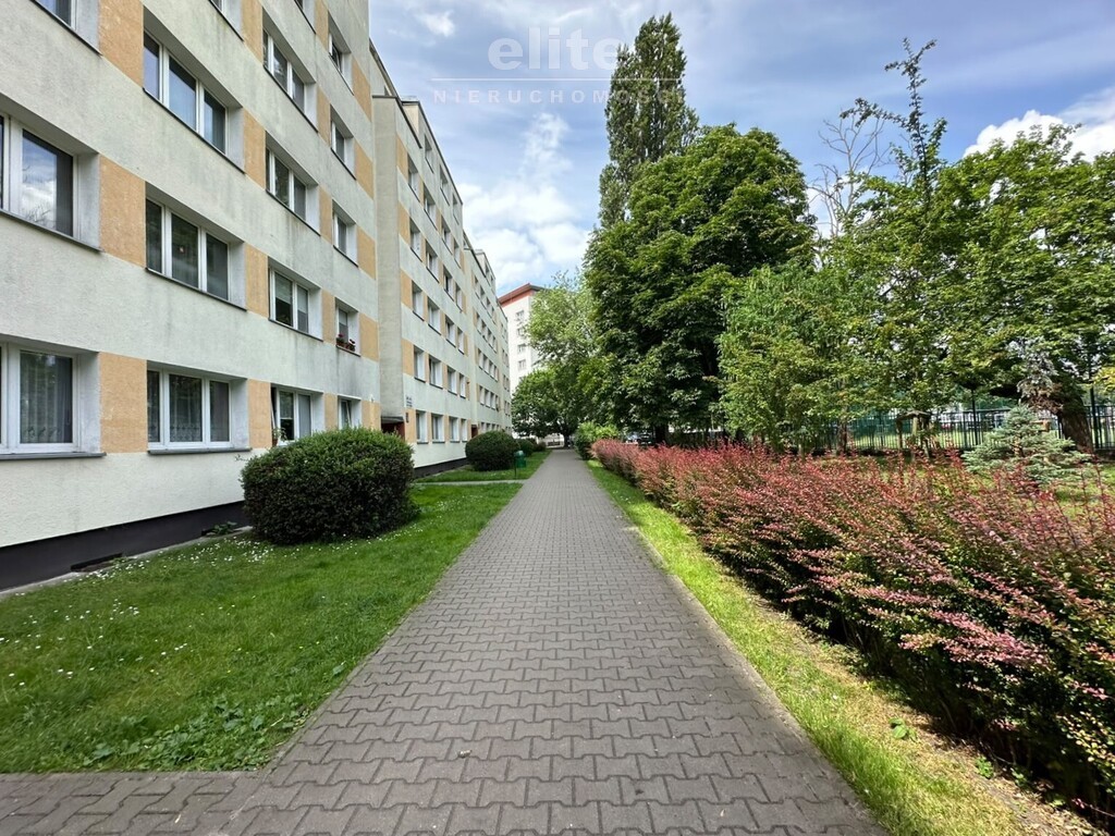 Kawalerka ul. Piłsudskiego przy Placu Grunwaldzkim (12)
