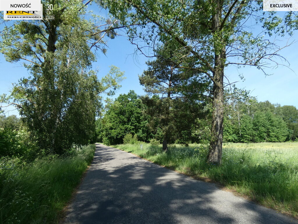 Malownicza duża działka  z WZ przy ścianie lasu (4)