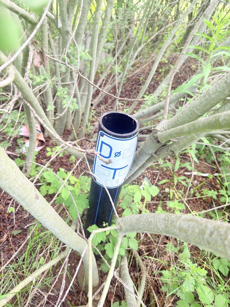 Warszewo działka budowlana z planem przestrzennym (8)