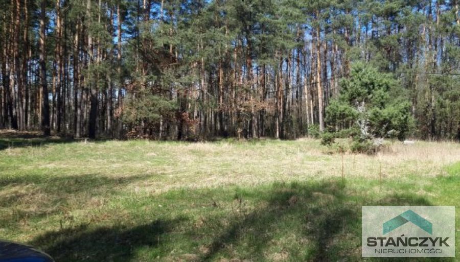 Działki Budowlane Przy Lesie (1)