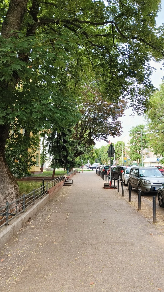 Mieszkanie, 2 pok., 44 m2, Szczecin Centrum (11)