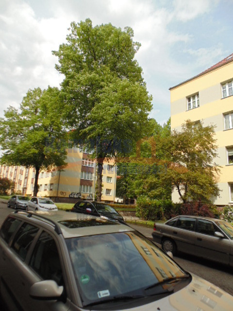 2 pok.rozkładowe , balkon -okolice Jasnych Błoni. (1)