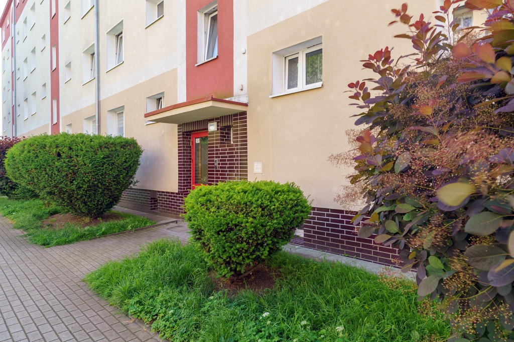 Klonowica, 2 pok. II piętro - 32 m2, do remontu, (15)