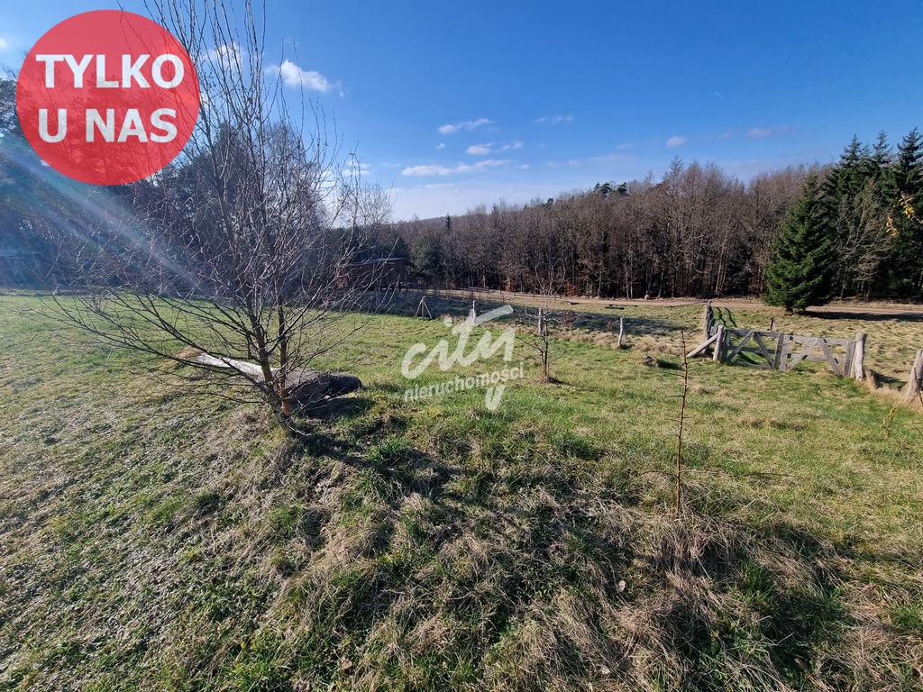 Działka nad jeziorem Siecino z Warunkami Zabudowy (3)