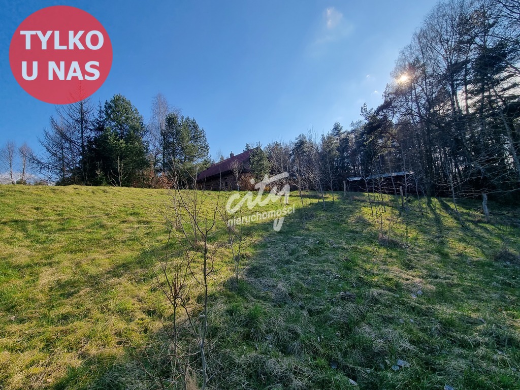 Działka nad jeziorem Siecino z Warunkami Zabudowy (9)