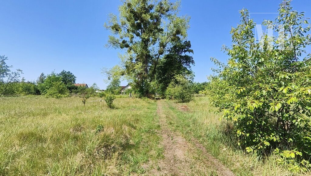 Działka z WZ budowlana Rurzyca Goleniów obok Las (3)