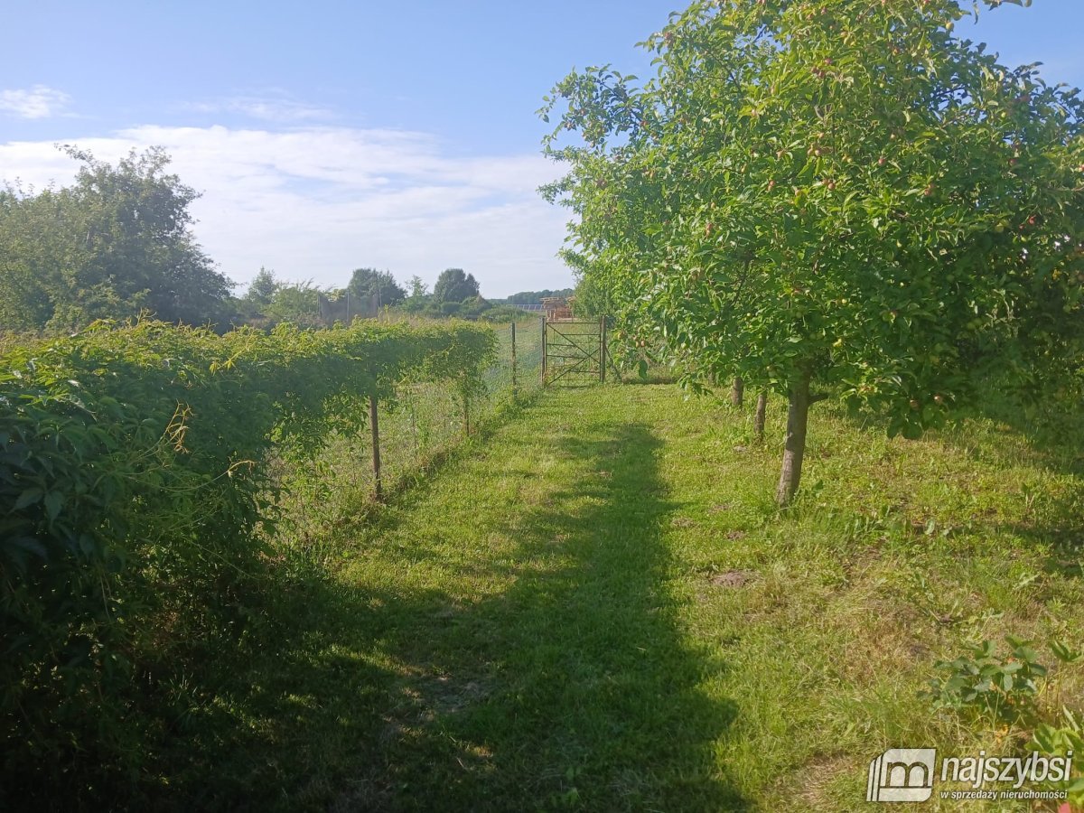 BŁĄDKOWO-DOM  BLIŻNIACZY Z WYDZILONA DZIAŁKA (6)