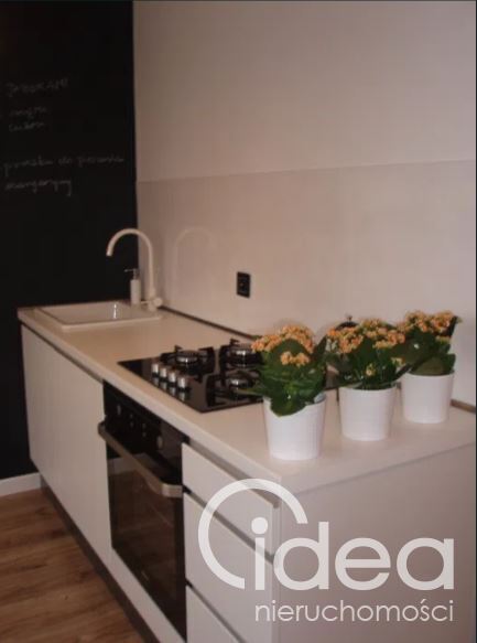 Idealna kawalerka w Centrum/spół.-własnościowe (1)
