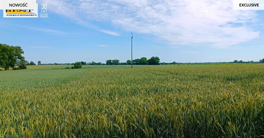 Działka Siedliskowa przy asfalcie Woda w drodze (7)