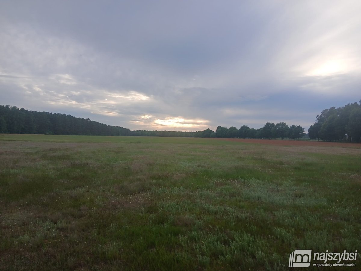 RZYSTNOWO- ziemia pod inwestycje 20,86 ha (1)