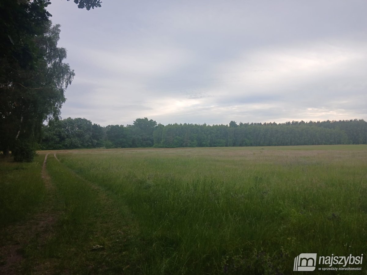 RZYSTNOWO- ziemia pod inwestycje 20,86 ha (10)