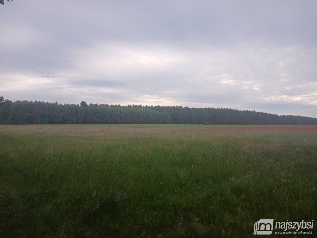 RZYSTNOWO- ziemia pod inwestycje 20,86 ha (11)