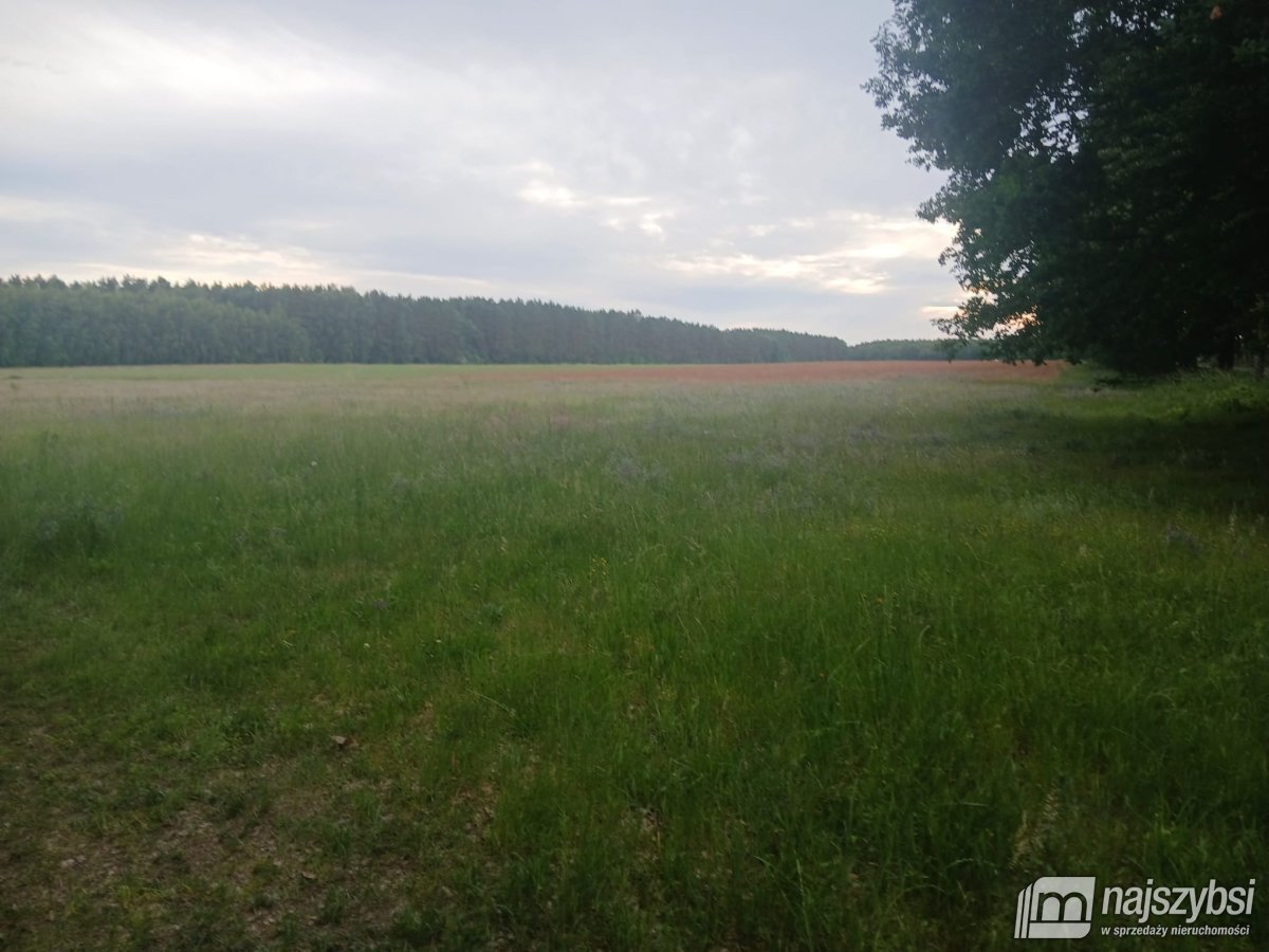 RZYSTNOWO- ziemia pod inwestycje 20,86 ha (12)