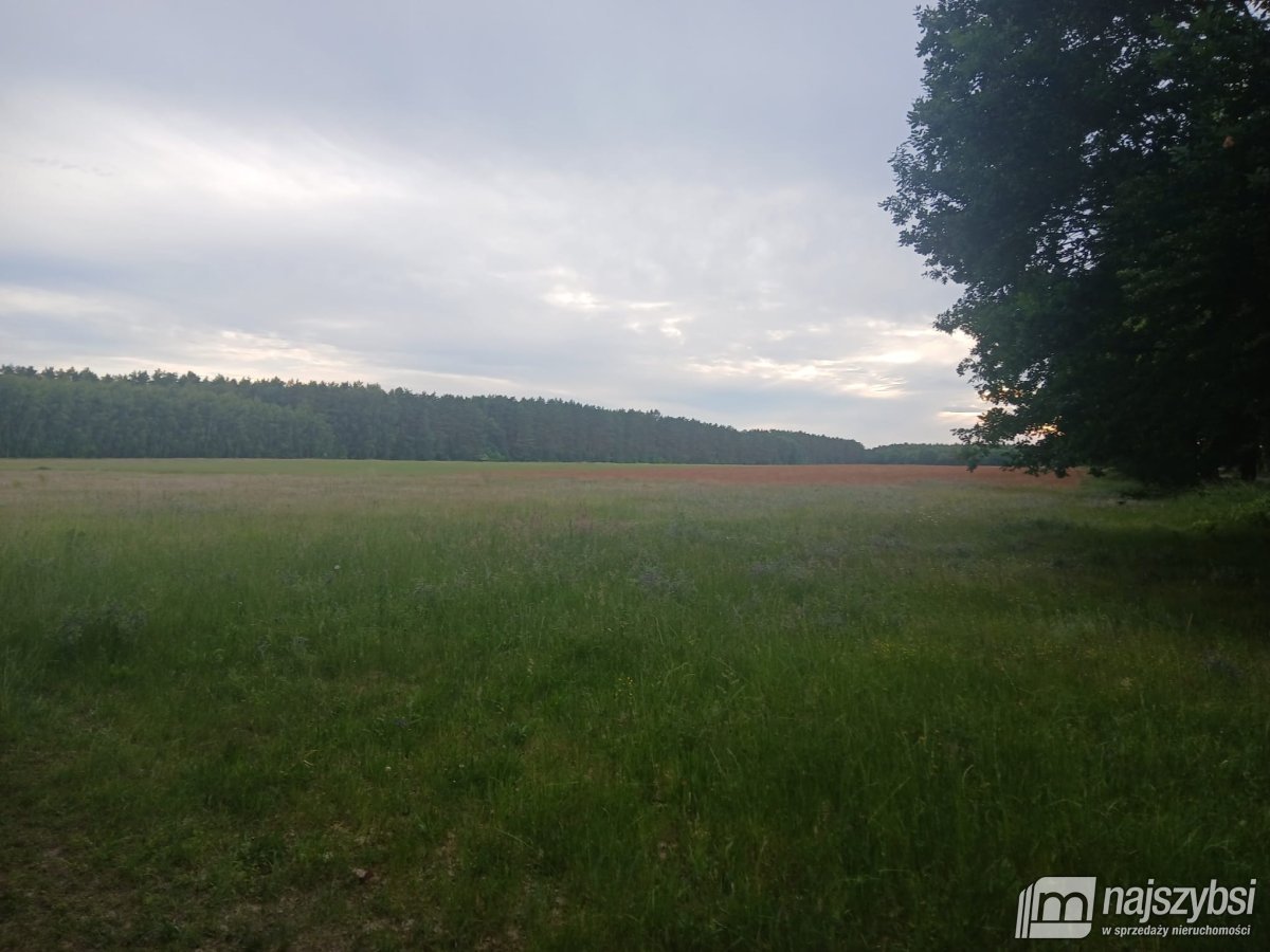 RZYSTNOWO- ziemia pod inwestycje 20,86 ha (13)
