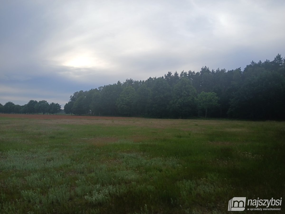 RZYSTNOWO- ziemia pod inwestycje 20,86 ha (2)