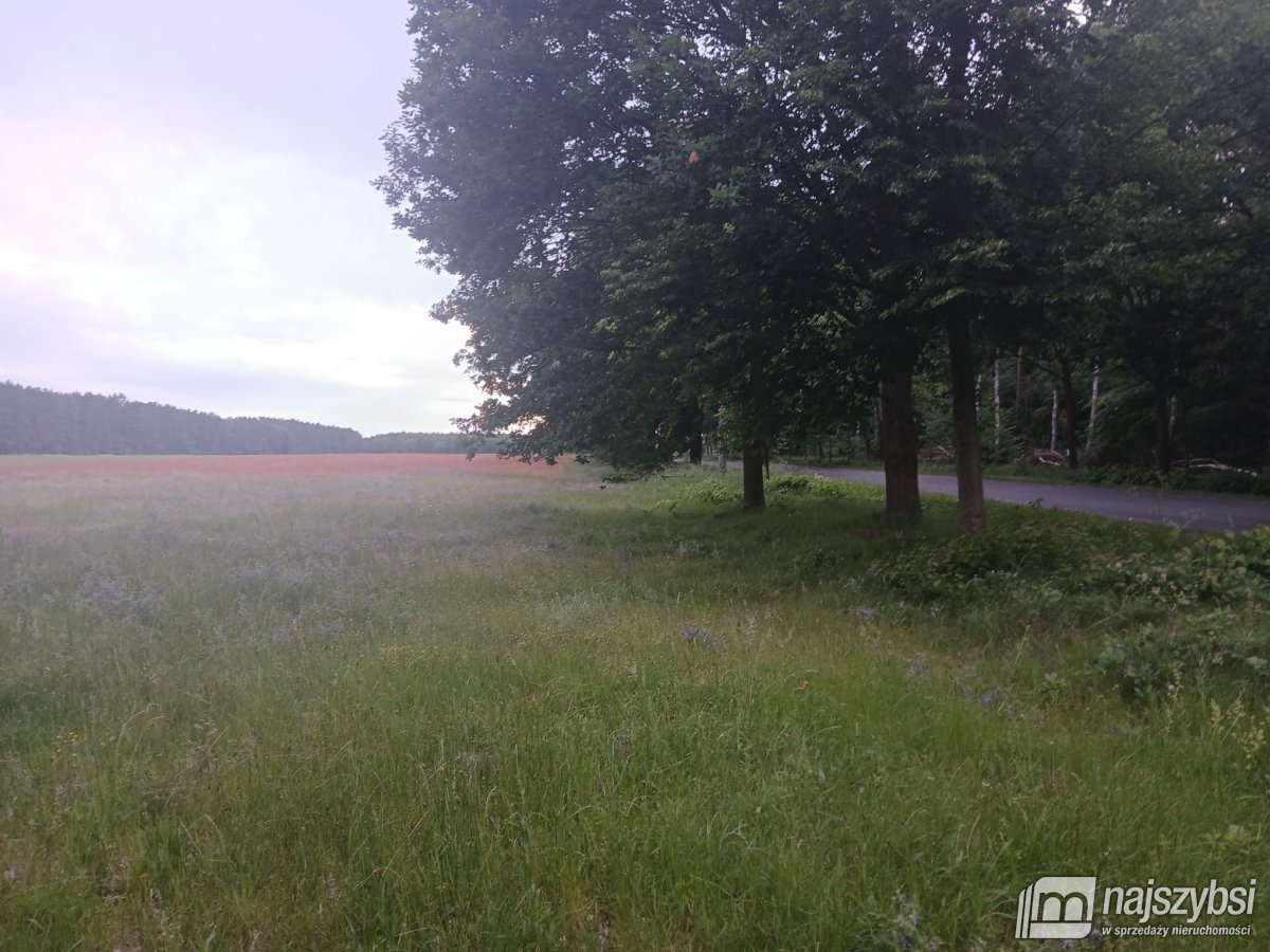 RZYSTNOWO- ziemia pod inwestycje 20,86 ha (3)