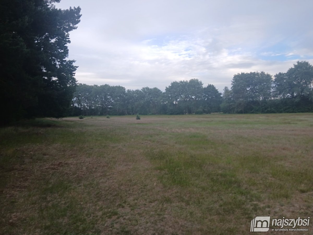 RZYSTNOWO- ziemia pod inwestycje 20,86 ha (4)
