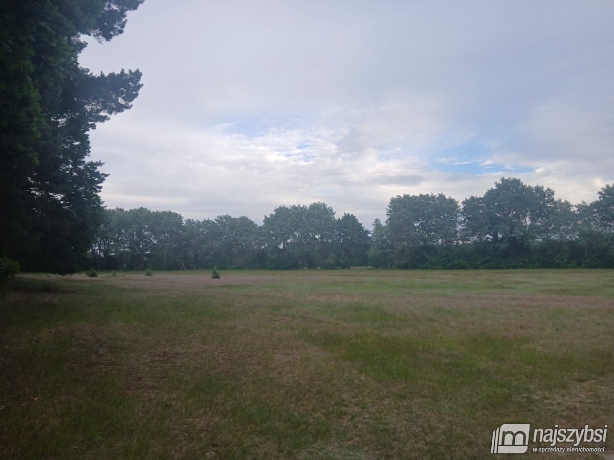 RZYSTNOWO- ziemia pod inwestycje 20,86 ha (6)